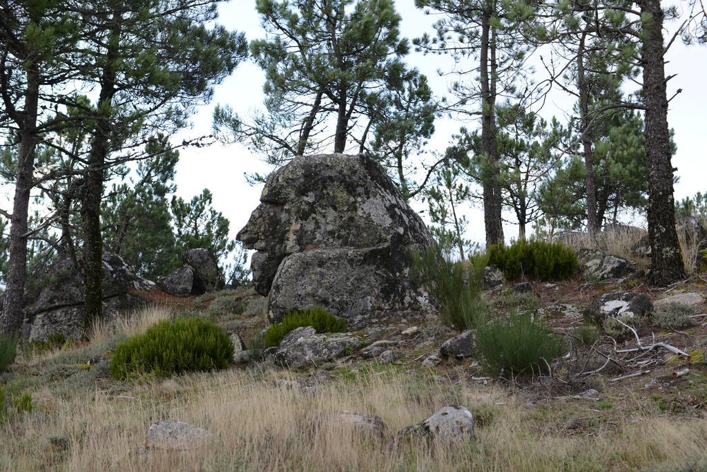 Terra Mista Alojamento Local Gouveia  Buitenkant foto
